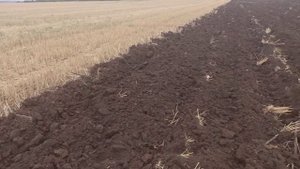 Пашем. плуг Пску-5. 3 метра захват. Т 150 .