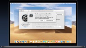 Как отказаться от получения Beta  Версий macOS  ( Older macOS)