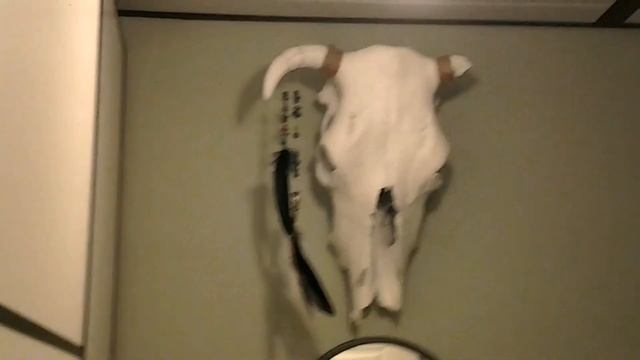 Светильник из черепа своими руками. Helloween 2018. смотреть онлайн