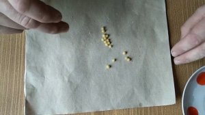 ОТЛИЧНАЯ НАСАДКА БАРАБУЛЬКА (ОКАТЫШИ)