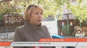 Кто должен вывозить мусор с контейнерных площадок