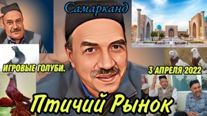 Птичий рынок, базар. Игровые голуби. Узбекистан город Самарканд. #обзор