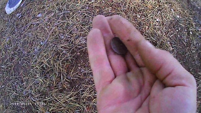 Коп по местам отдыха людей смотреть онлайн