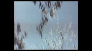 Comin Thro The Rye - Robert Burns