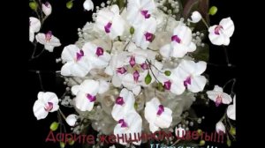 Дарите женщинам цветы!