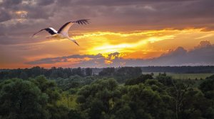 Молодость моя - Белоруссия