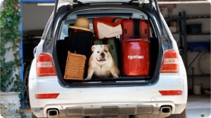 Штраф за перевозку газовых баллонов для частников не может быть выписан!!!