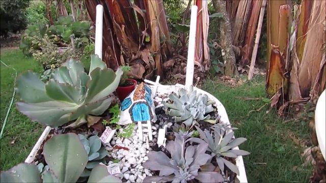 Vamos dar uma volta no jardim, e mostrando os novos arranjinhos de suculentas ♥ смотреть онлайн