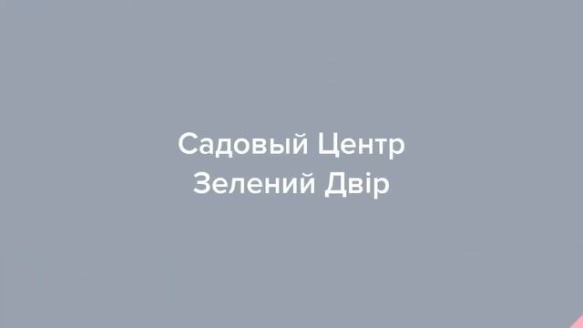 Садовый Центр Зелений Двір - Малиновое дерево сорт Крепыш с ОКС смотреть онлайн