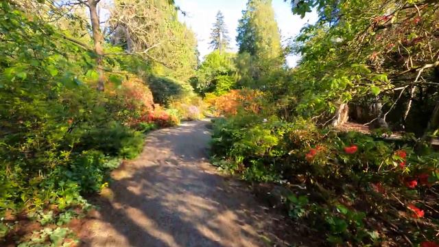 Ted and Mary Greig Rhododendron Garden in Stanley Park, Vancouver Canada смотреть онлайн