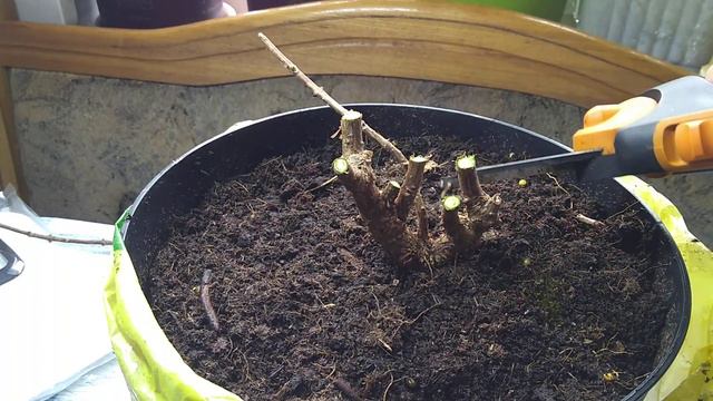 27.02.2020 Обрезка новинок Серии "PAN" смотреть онлайн