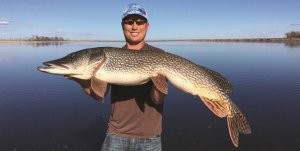 144.Трофейная щука.mp4