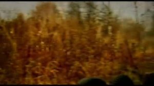 фольксваген тигуан тест драйв