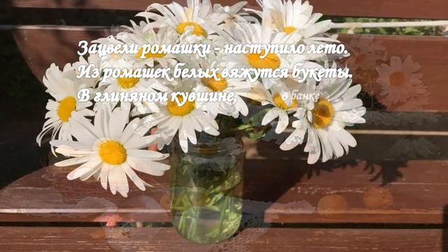 #Ромашки |#ЗояАлександрова |#Детскиестихи