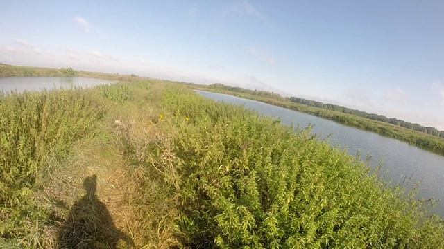 Шаман поднял коростель смотреть онлайн