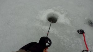 Зимняя рыбалка,пруд Жуково иду на лед. Удочка зимняя Aqua Ice Bow. Ловля окуней.