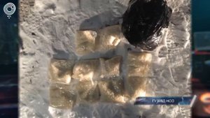 18.02 Новосибирской полицией задержан закладчик, организовавший в лесу тайник с 5 кг «синтетики»