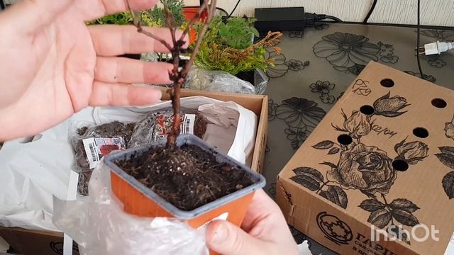 Посылка из Гаршинки распаковка, делайте выводы...?