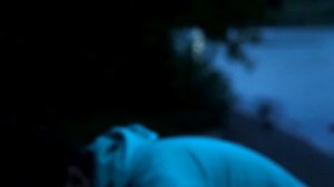 Рыбалка в Строгино