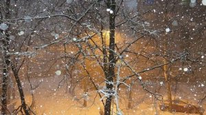 Георгий Свиридов. СНЕГ ИДЁТ