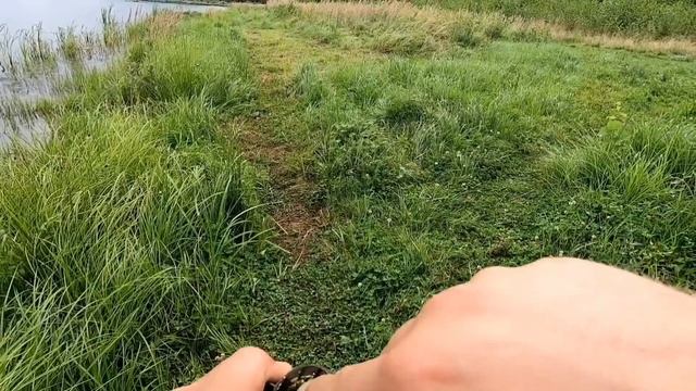 Как наловить садок карася на бесплатном озере. Сода плюс лимонная кислота секрет успешной ловли.