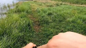Как наловить садок карася на бесплатном озере. Сода плюс лимонная кислота секрет успешной ловли.