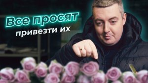 Все просят привезти этот сорт роз | Цветы оптом | Плантация Janec Roses | Эквадор