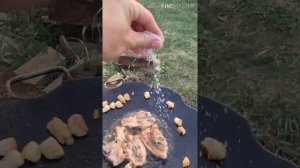 Жареная баранина с хрустящей картошкой в садже на костре