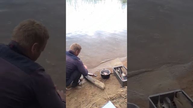 Удачная рыбалка! Хороший улов!  Щука и судак наши ? Вот такая Карелия наша!Озеро Сямозеро, 2022.