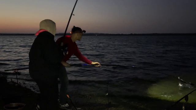 Огромные рыбы клюют без остановки! Рыбалка без понтов на АЭС смотреть онлайн