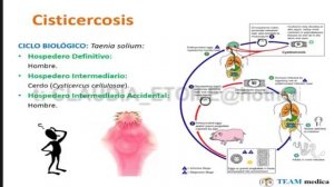 Tmmed infectología - 1 3