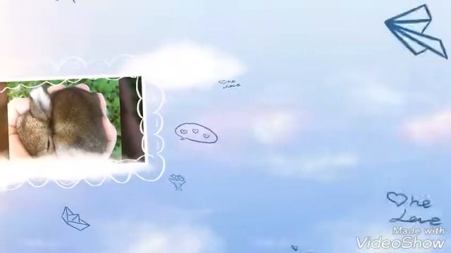 Самые МИЛЫЕ ЖИВОТНЫЕ !!!!!!!!!!(1 часть) смотреть онлайн