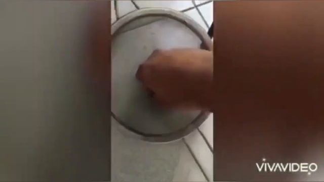 #ADENIUM #DESERTROSE #KALACHUCHI #ADENIUMOBESUM ADENIUM SEEDS (DESERT ROSE) смотреть онлайн