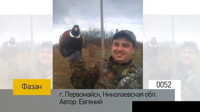 Фотоальбом - Охота №9 смотреть онлайн