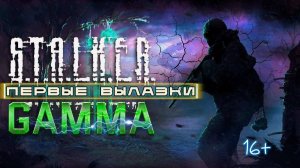 STALKER ANOMALY /// GAMMA ▶ Первые вылазки ▶ 08