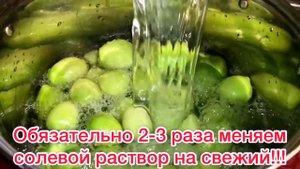 Как убрать соланин из помидор? Вкусное должно быть полезным!