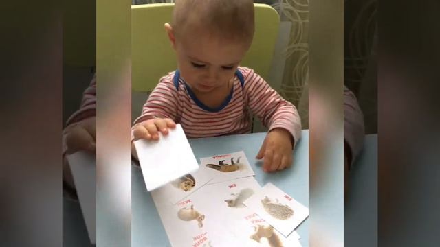 Лото Домана. Вундеркинд с пелёнок