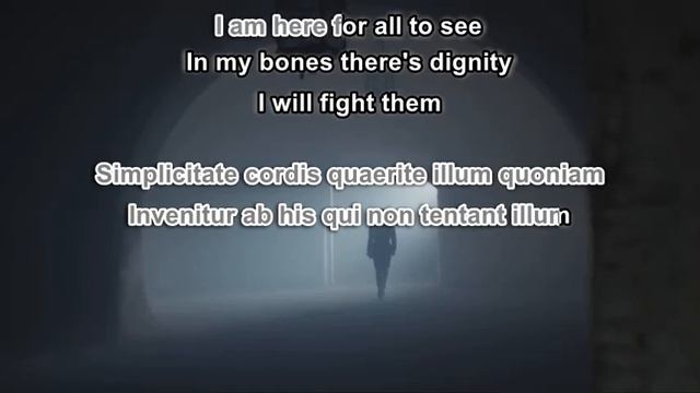 Paolo Buonvino & Skin - Reneissance (Karaoke) смотреть онлайн