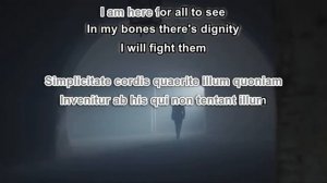 Paolo Buonvino & Skin - Reneissance (Karaoke)