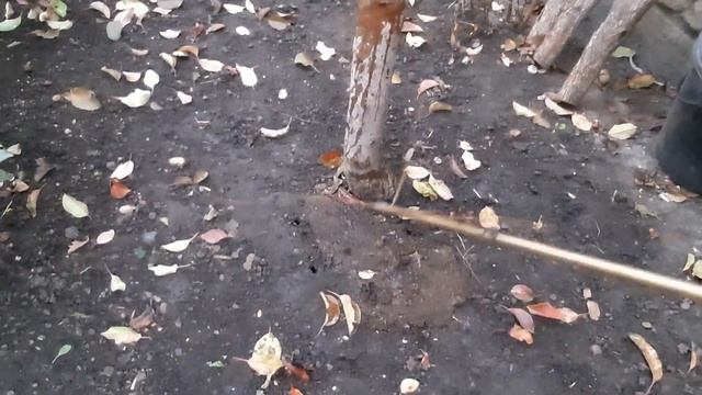 Простейший Аппарат для эффективного внесения в почву, любых , жидких удобрений. смотреть онлайн