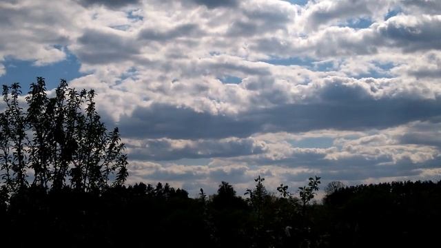 Аисты прилетели. Storks flew in. смотреть онлайн