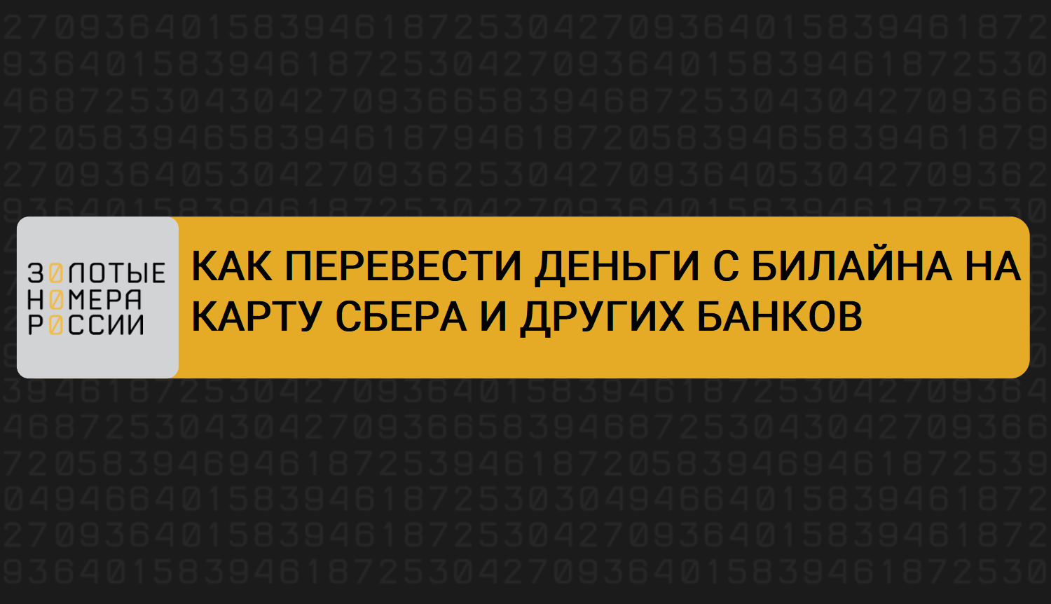 как перевести с билайна на стим фото 116