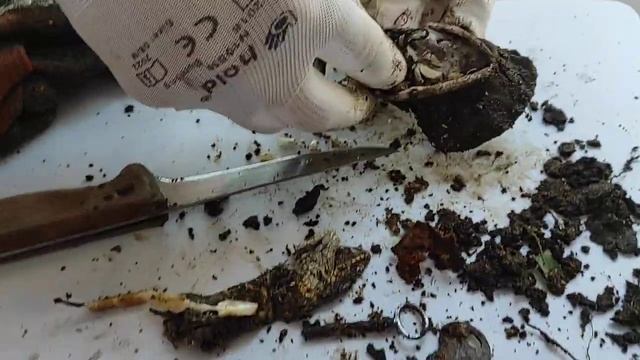 Как се прави вуду кукла .Истинска вуду кукла - как наистина работи.Как да си направим вуду кукла. смотреть онлайн