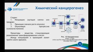 Общепатологические аспекты ветеринарной онкологии. Часть 1