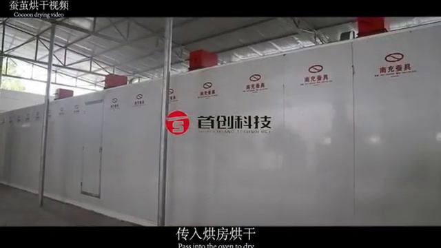 Silkworm Dry Silk Cocoon Bombyx Mori Moth Pupa Silk Production Drying Machine Dryer Equipment Uzbek смотреть онлайн