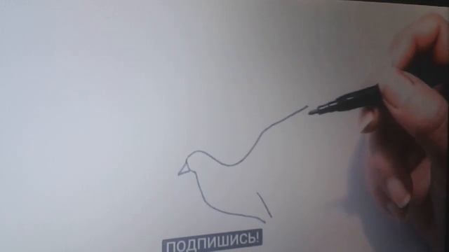 Как нарисовать птицу! смотреть онлайн