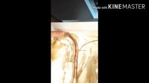 УСТАНОВКА НАРУЖНОГО ИСПАРИТЕЛЯ НА ХОЛОДИЛЬНИКЕ  KORTING