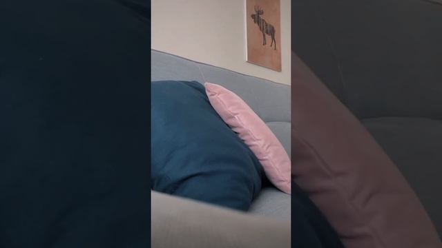 Профессиональный клининг Екатеринбург смотреть онлайн