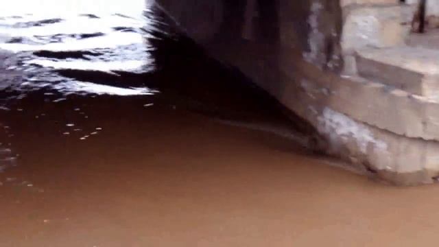 Течение Полисти в Старой Руссе 20.04.13 смотреть онлайн