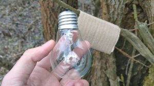 Лампа накаливания, лампочка